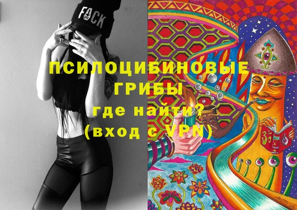 МДПВ Алексин