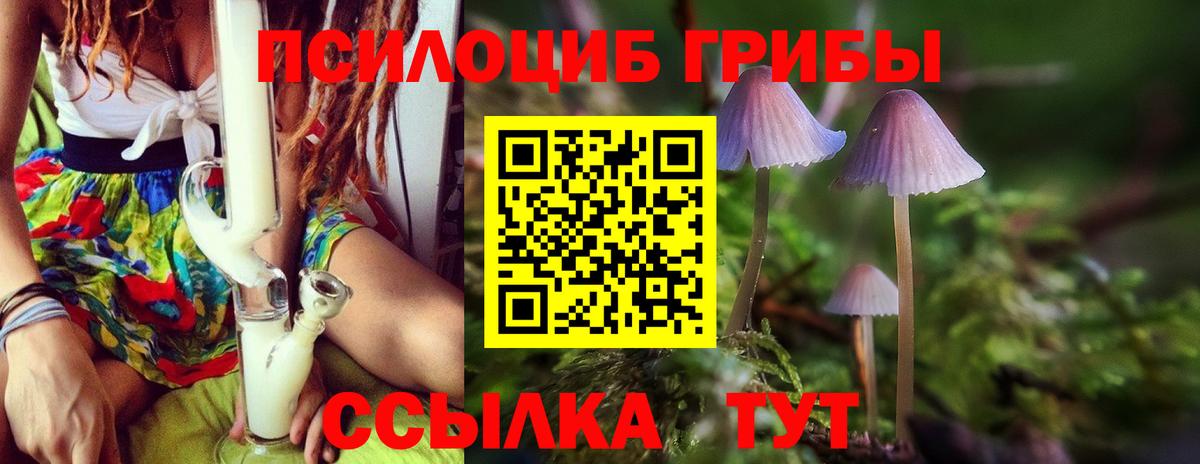 Псилоцибиновые грибы ЛСД Кызыл