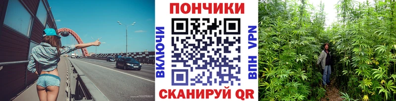 маркетплейс клад  сколько стоит  Кызыл  Марихуана LSD WEED 